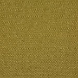 Cavendish Olive